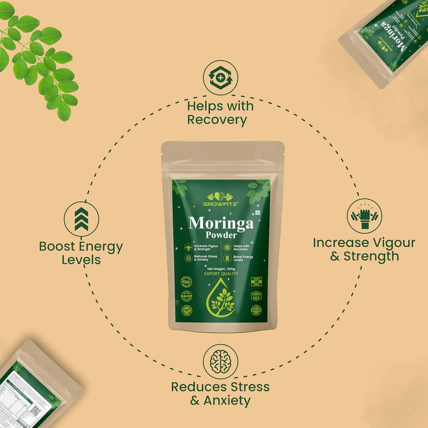 Growfitz Moringa Powder | 200g x 2 Combo | Organic Superfood for Immunity & Energy