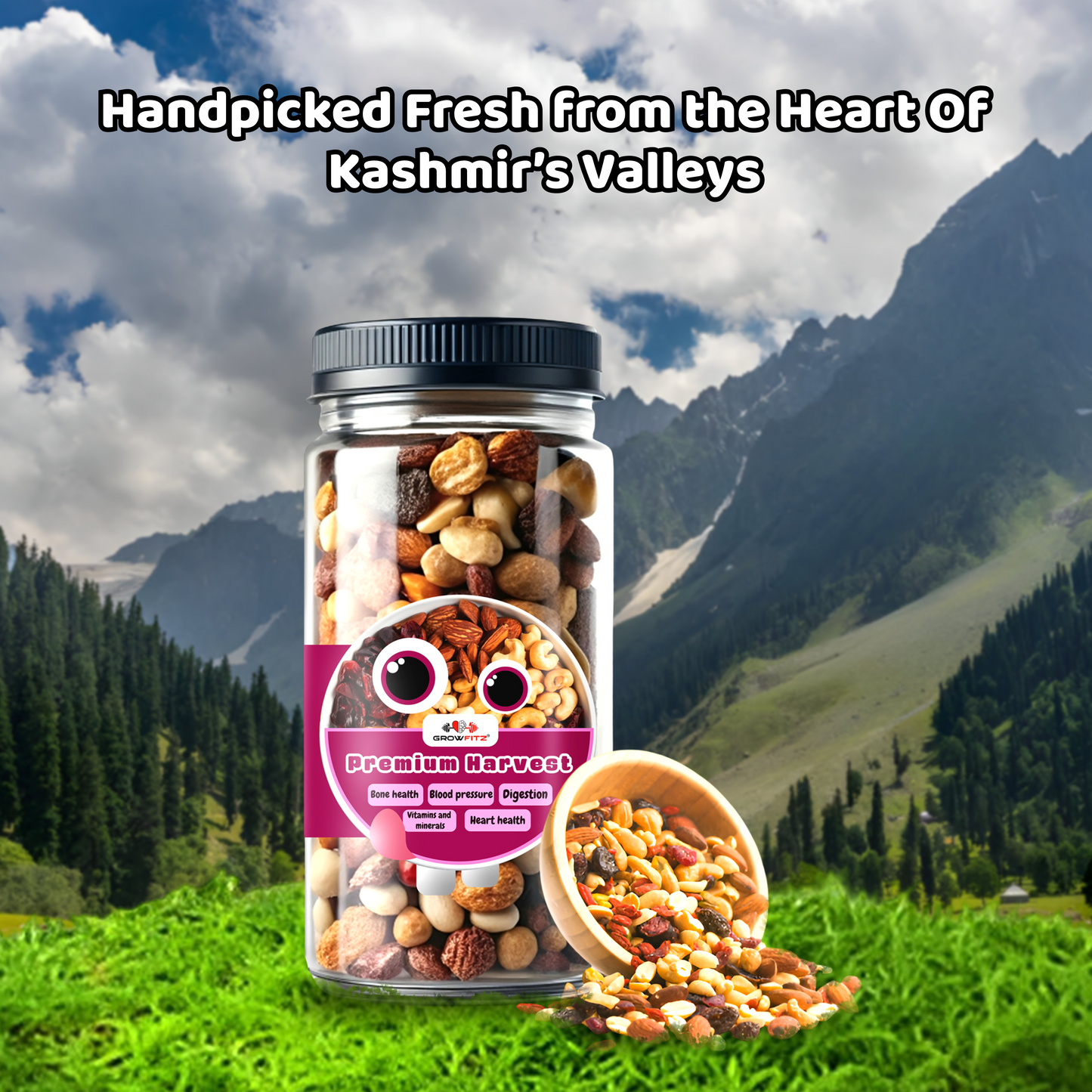 Dry Fruits | Premium Trail Mixed | 400g