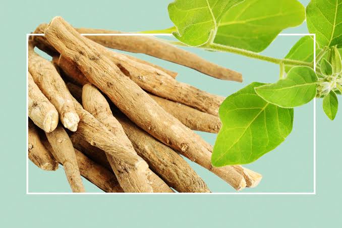 Proven benefits of ashwagandha for Men & Women