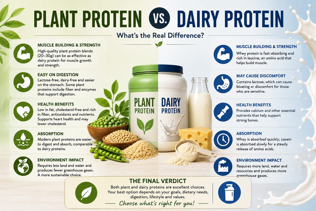 Plant Protein vs. Dairy Protein