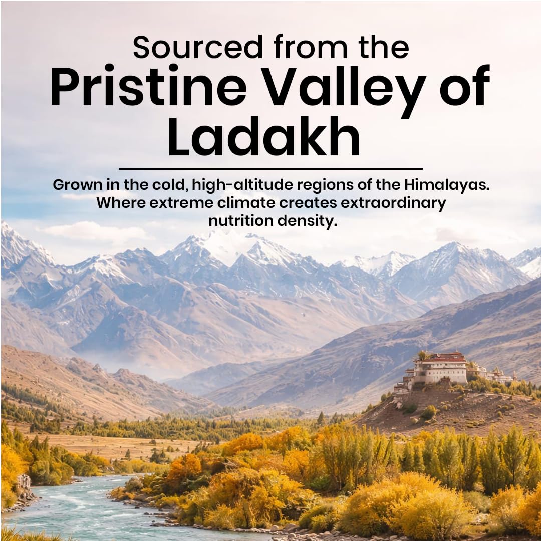 Himalayan Sea Buckthorn Pulp Concentrate 500 ML | Cold-Pressed | Makes 80 Glass, Natural Vitamin C, Omega 3 6 7 9, Antioxidants | Immunity, Skin Glow & Gut Health Support | Seabuckthorn Juice