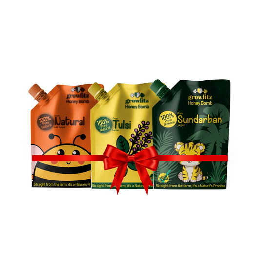 Honey Bomb Combo (4 Different Flavor Pouches) | 400g